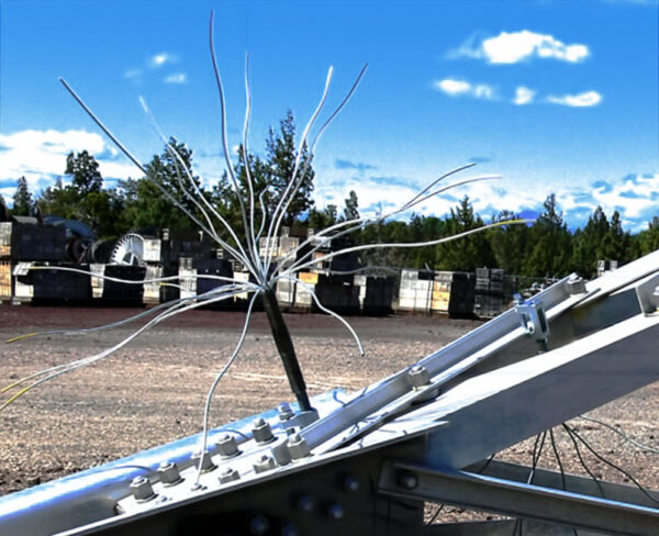 RaptorWire bird hazing device mounted to a ground structure.