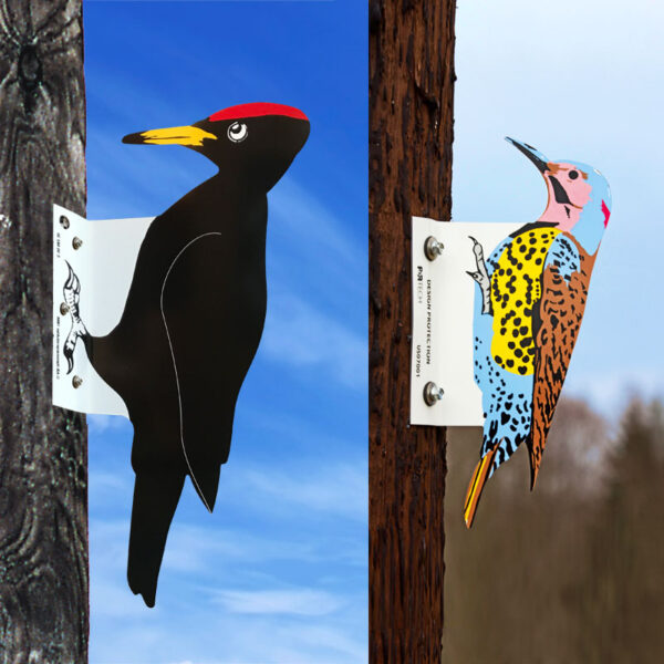 Woodpecker bird diverters shown mounted to wooden utility poles.