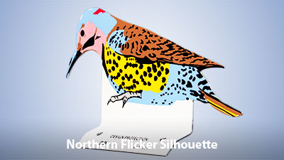 Northern Flicker Silhouette