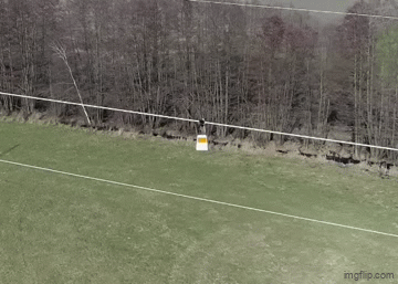 A firefly bird diverter in action on a power line.