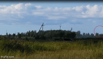 Birds being diverted by Fire Fly bird diverters.